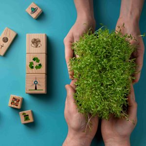 sustainable-development-goals-still-life (1) (1)